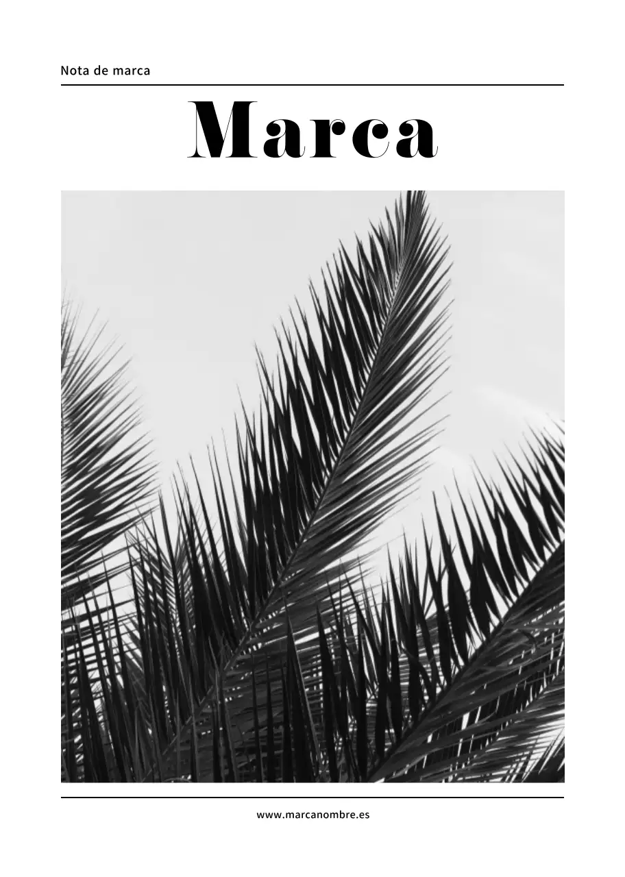 Blanco Simple Photo Layout Pitch Notes