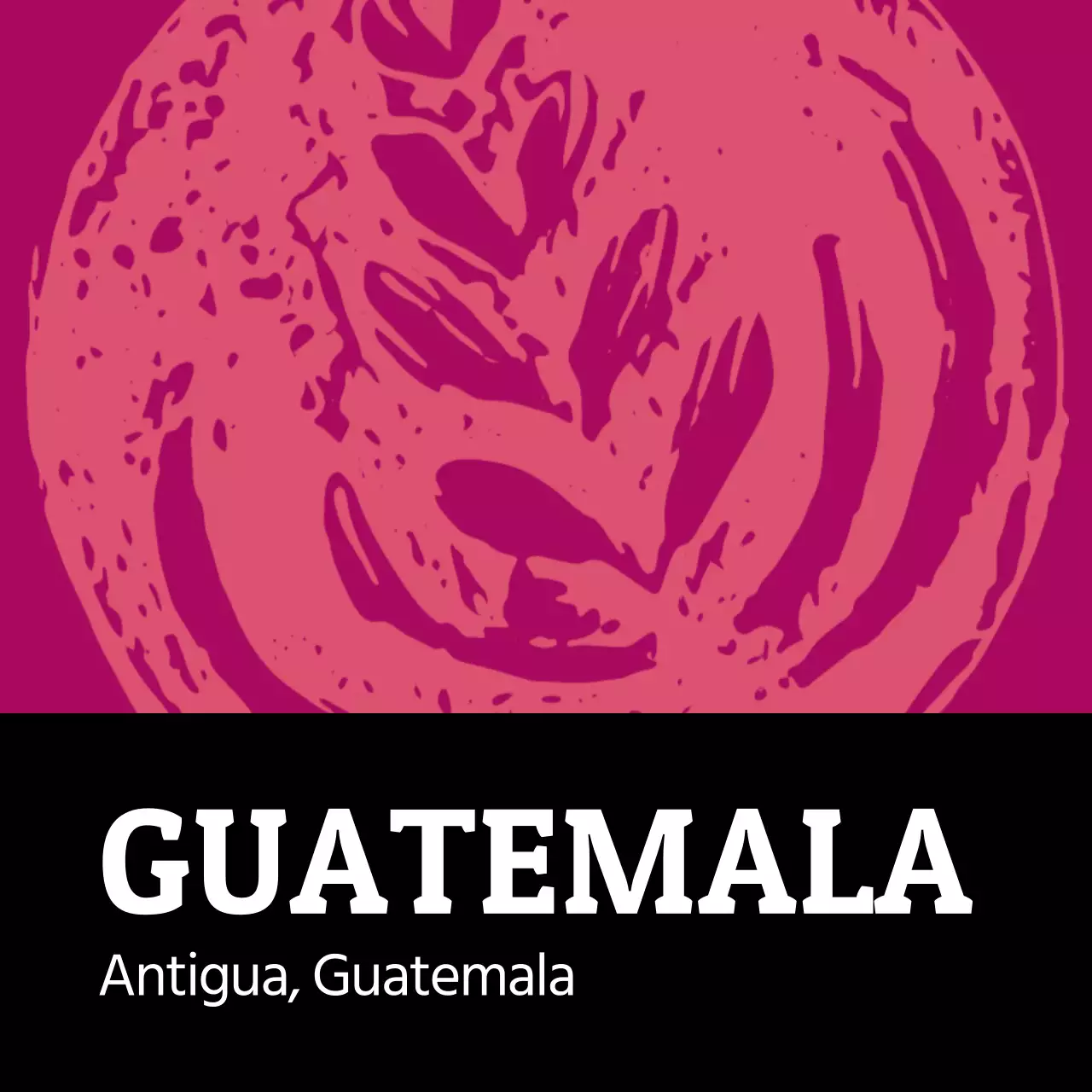 Colorida etiqueta ilustrada vintage de café en grano Guatemala (cuadrada)