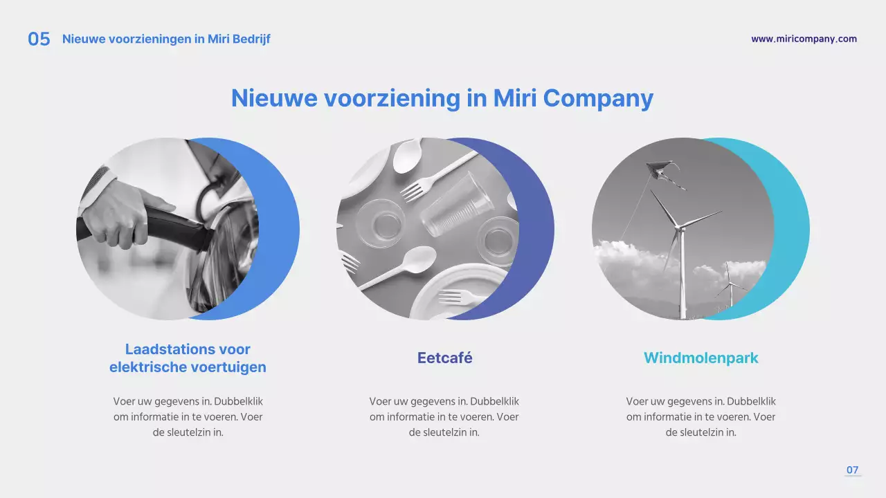 Blauw & grijs presentatiesjabloon