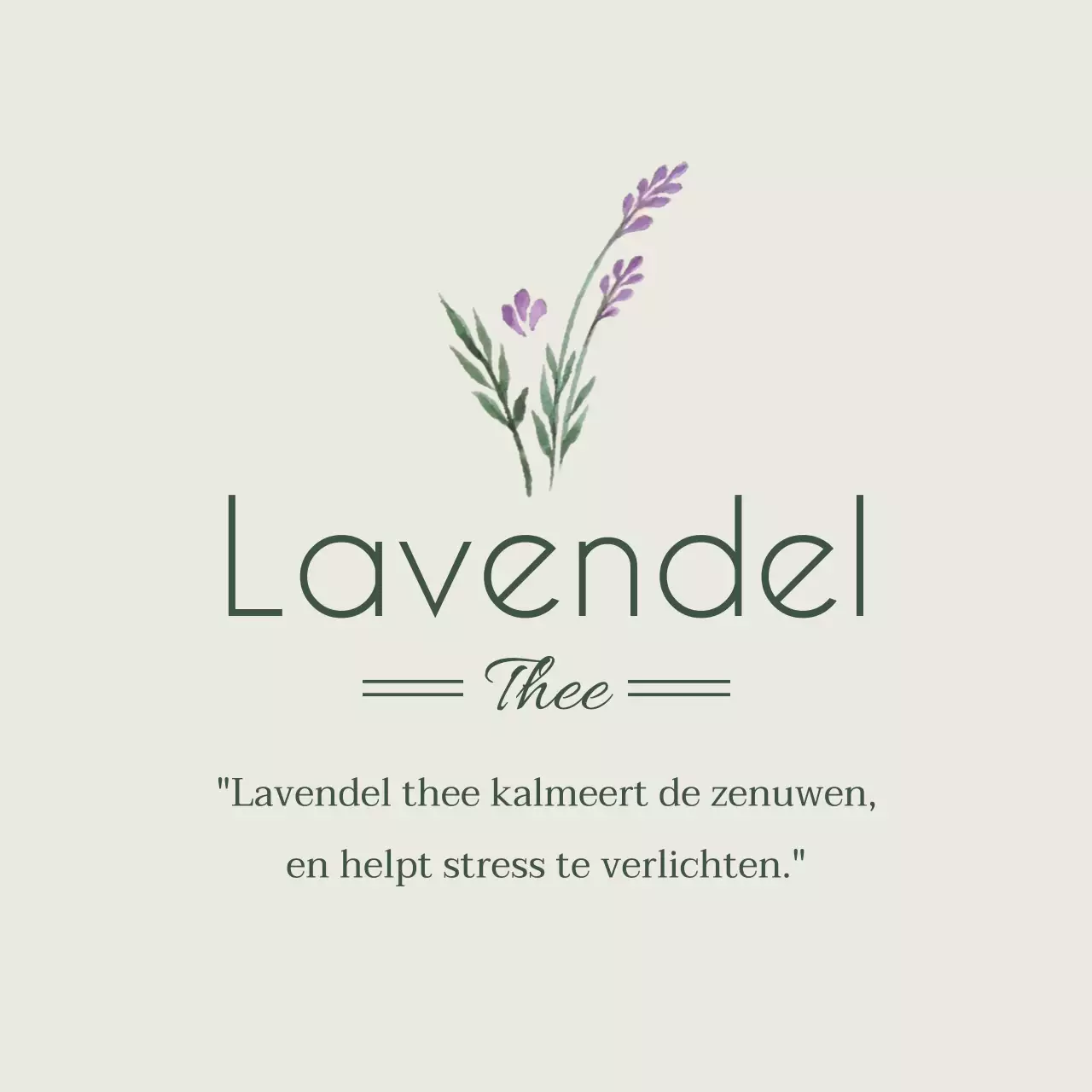 Lavendel