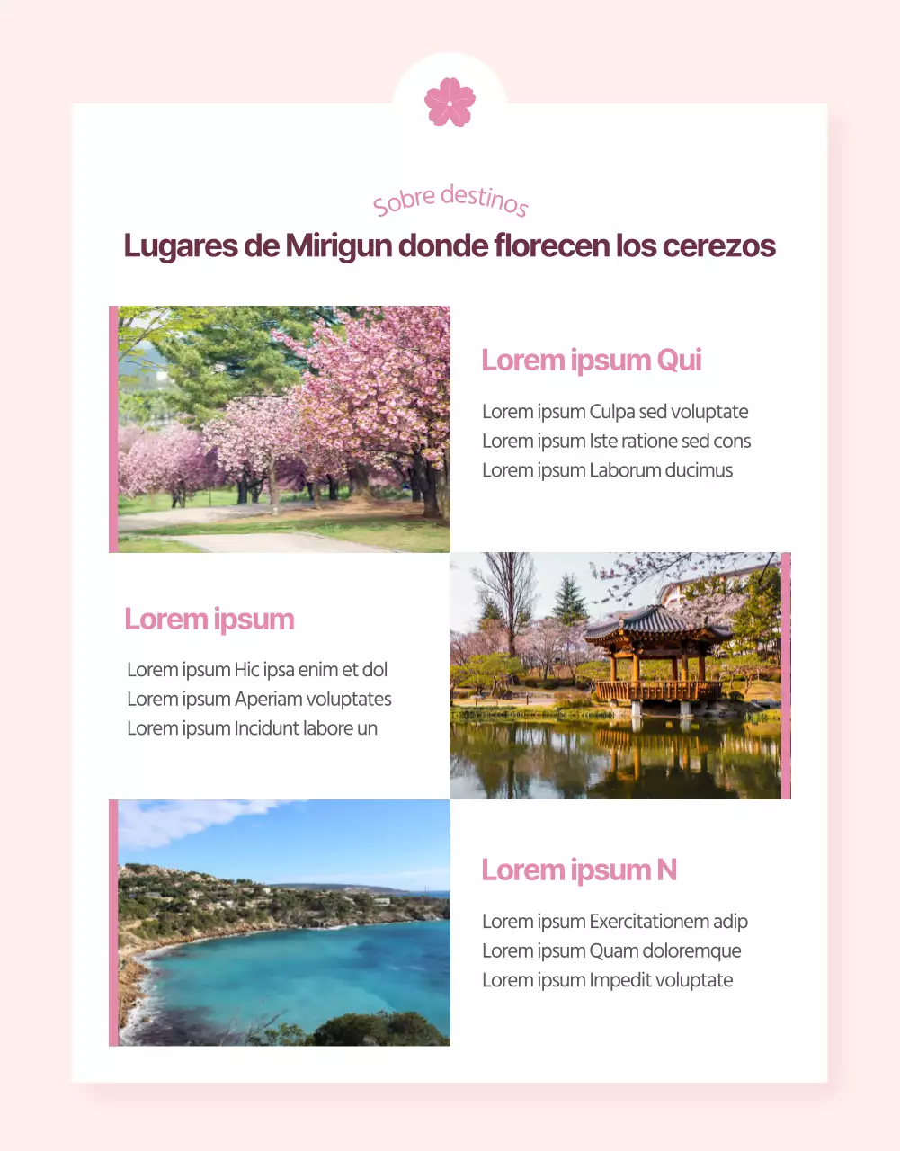 Promoción de las visitas guiadas a los cerezos en flor con un toque rosa