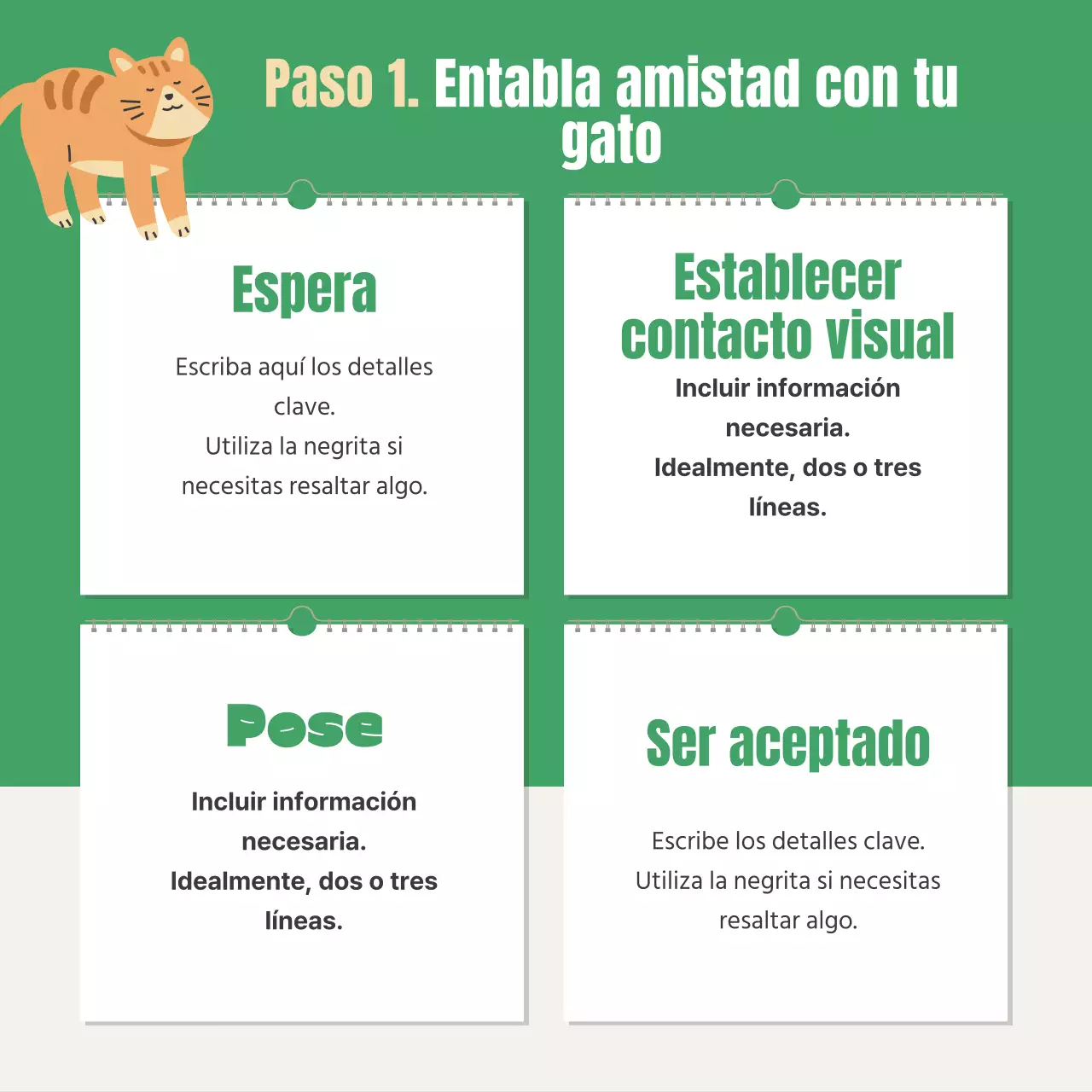 Sobre el examen de certificación de la caja de arena verde y naranja para gatitos