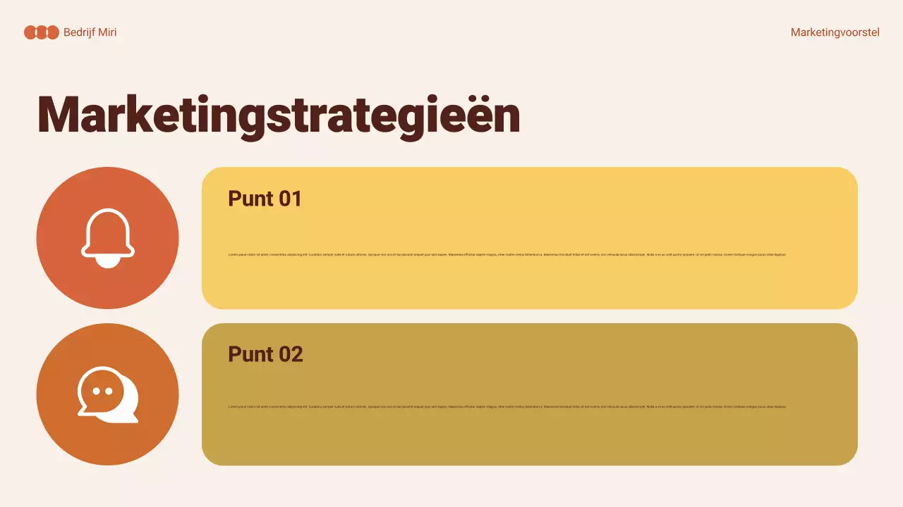 oranje samenvatting marketingdocument