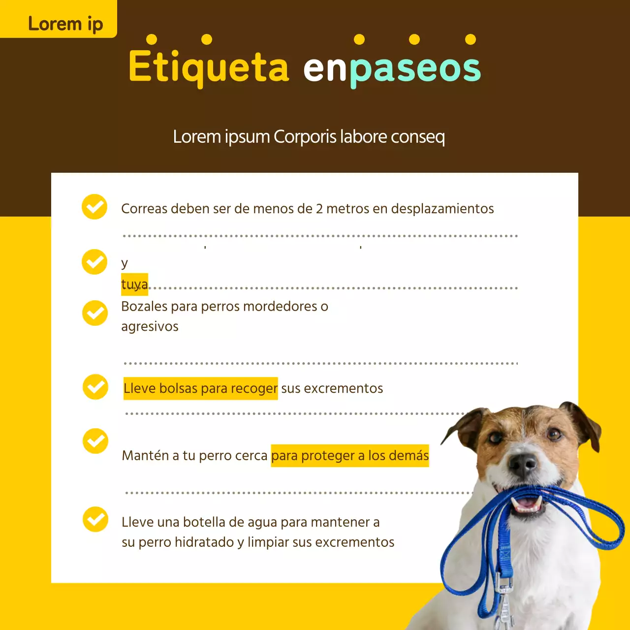 Billete informativo para mascotas en amarillo y bronce
