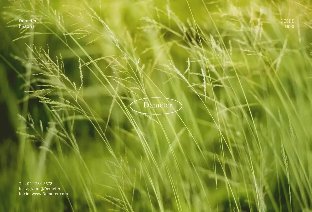 Tarjeta con fondo fotográfico sencilloTarjeta postal