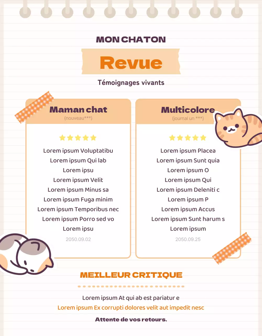 Voici la jolie boîte de papeterie orange et beige Cat Daku.