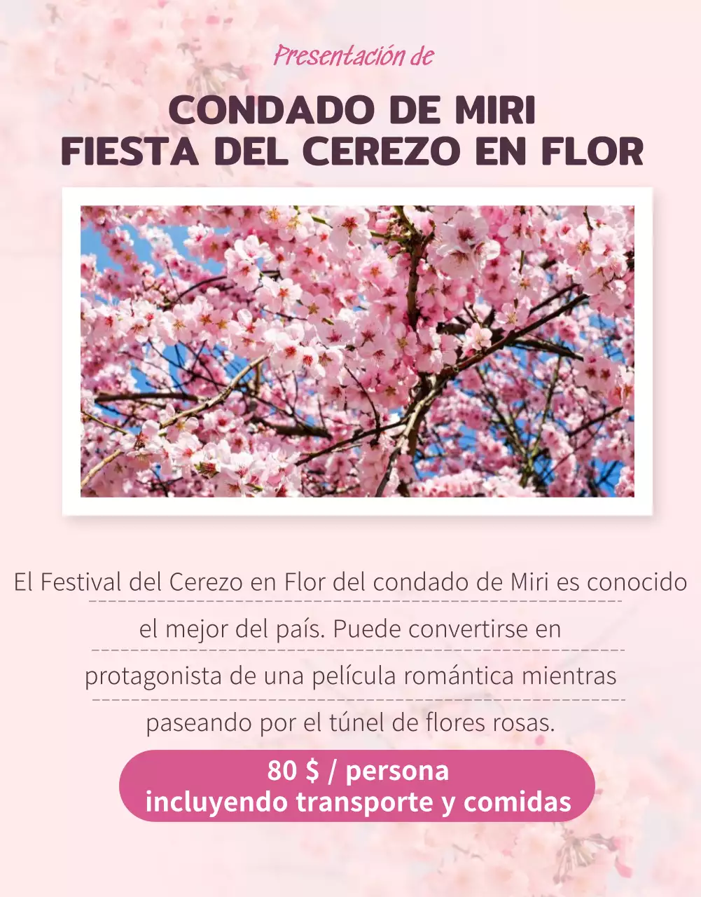 Bonitas ilustraciones de cerezos en flor en rosa pastel para promocionar el viaje