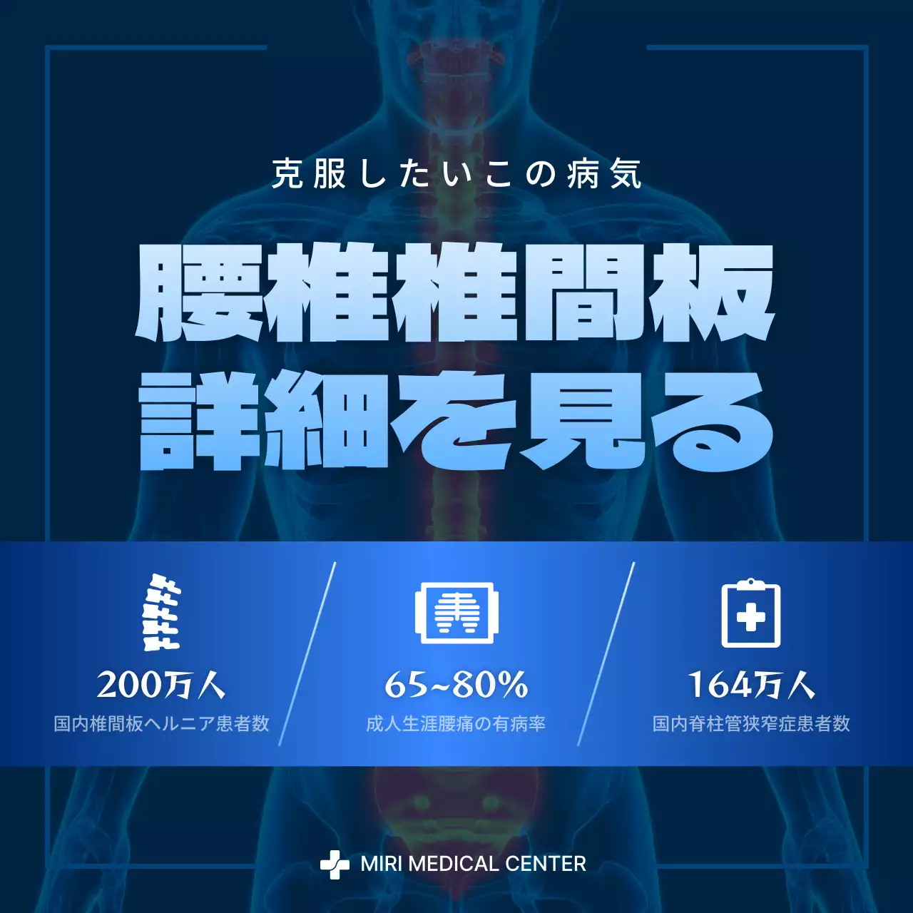 ブルーとネイビーのモダンなウエストディスク情報