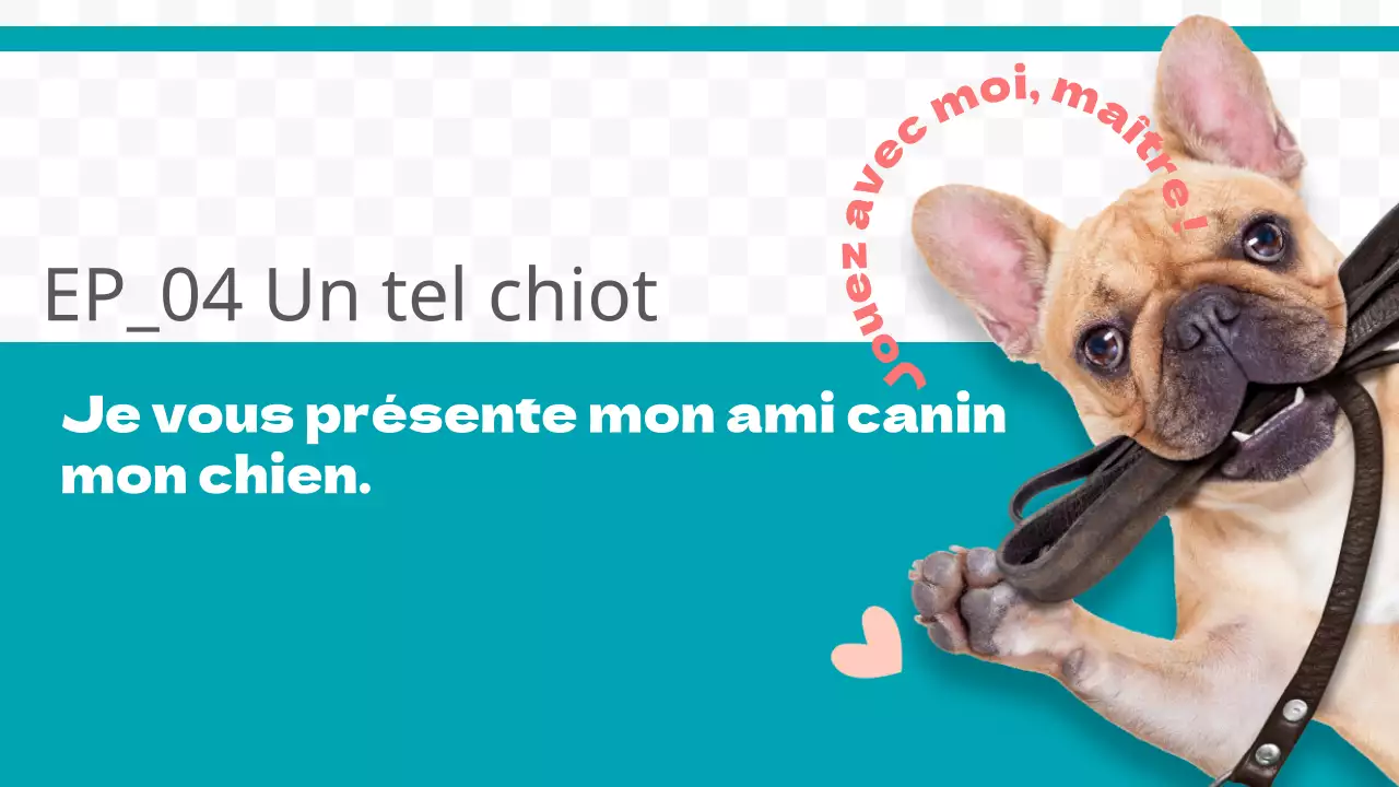 Chaîne du chien