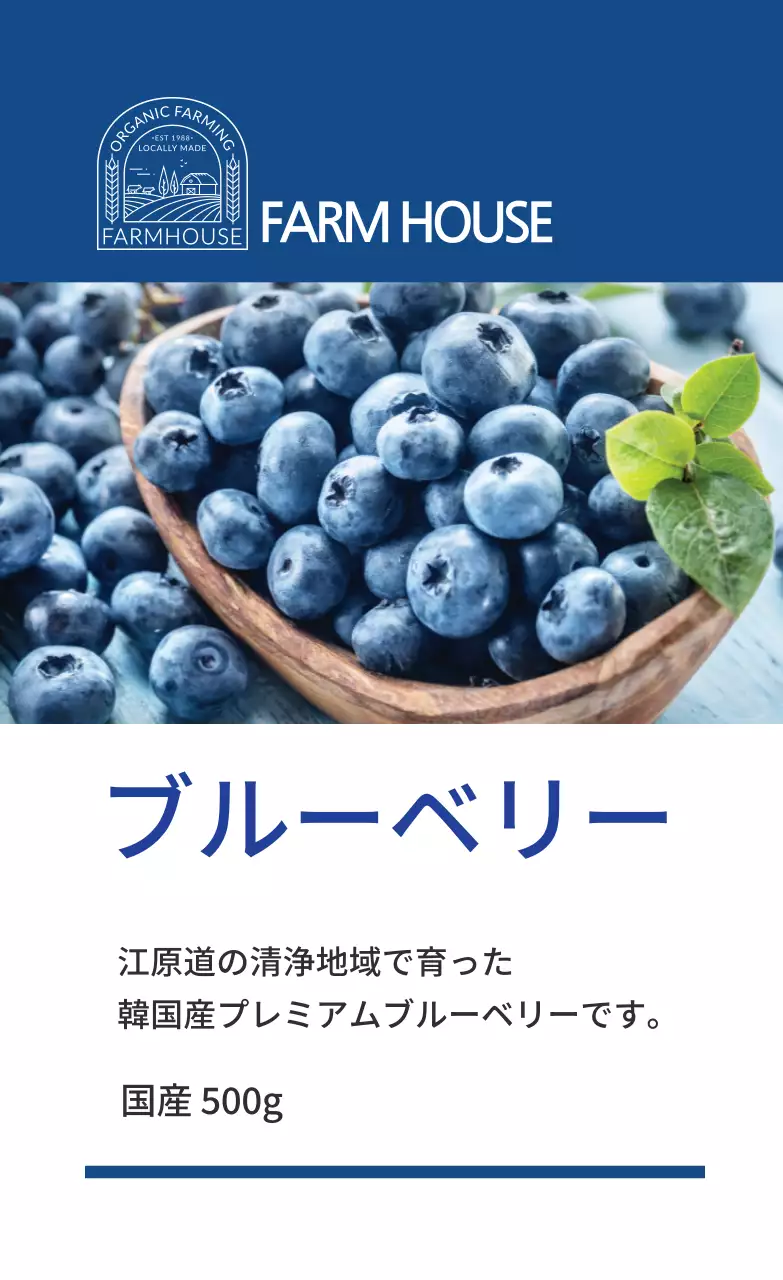 ブルーベリー