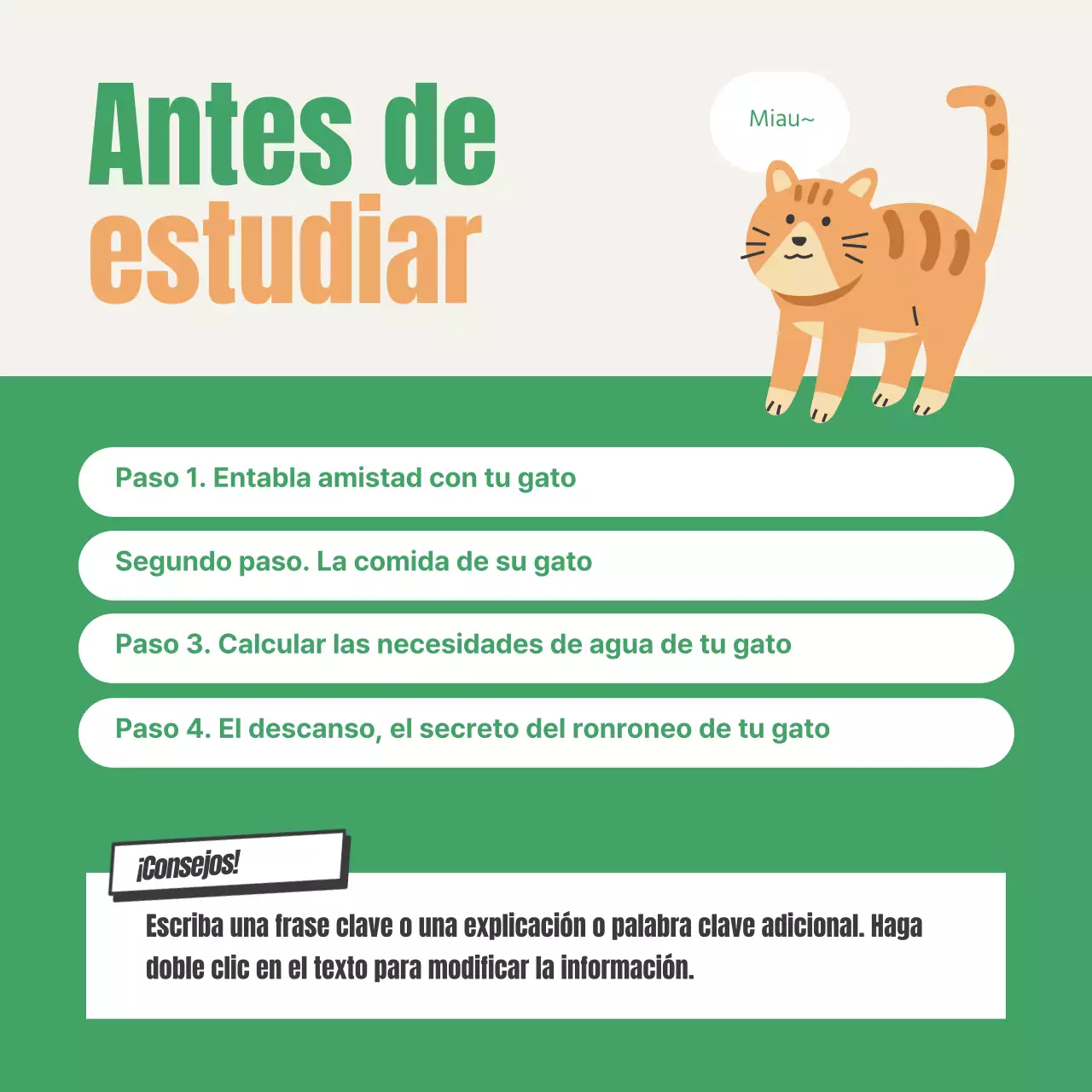 Sobre el examen de certificación de la caja de arena verde y naranja para gatitos