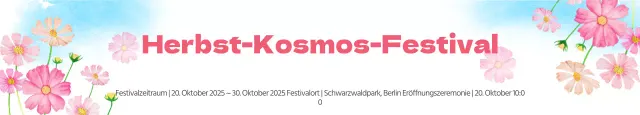 Kosmos-Festival