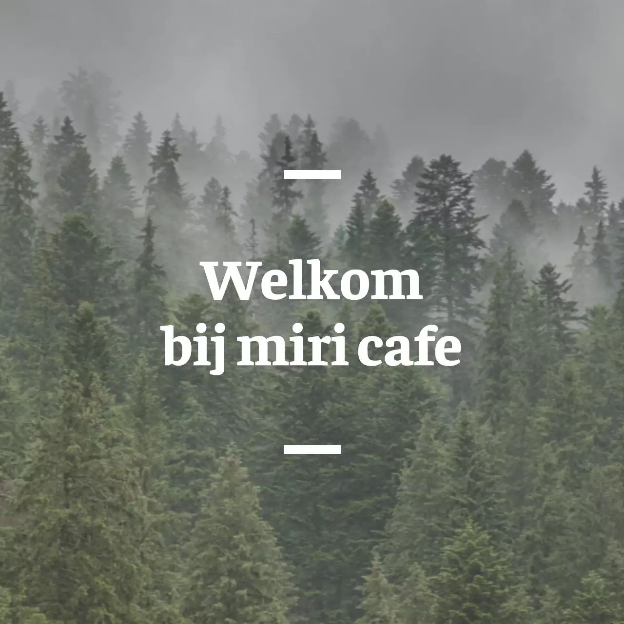 Engelstalig café balsa met sentimentele bewegwijzering met een foto van een bos.