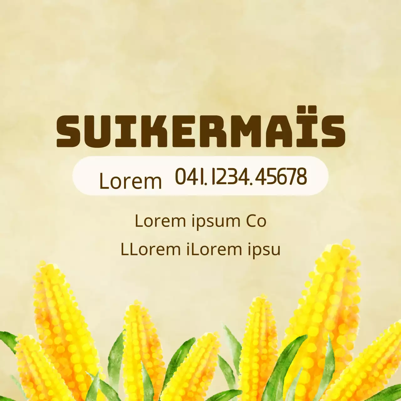 Suikermaïs