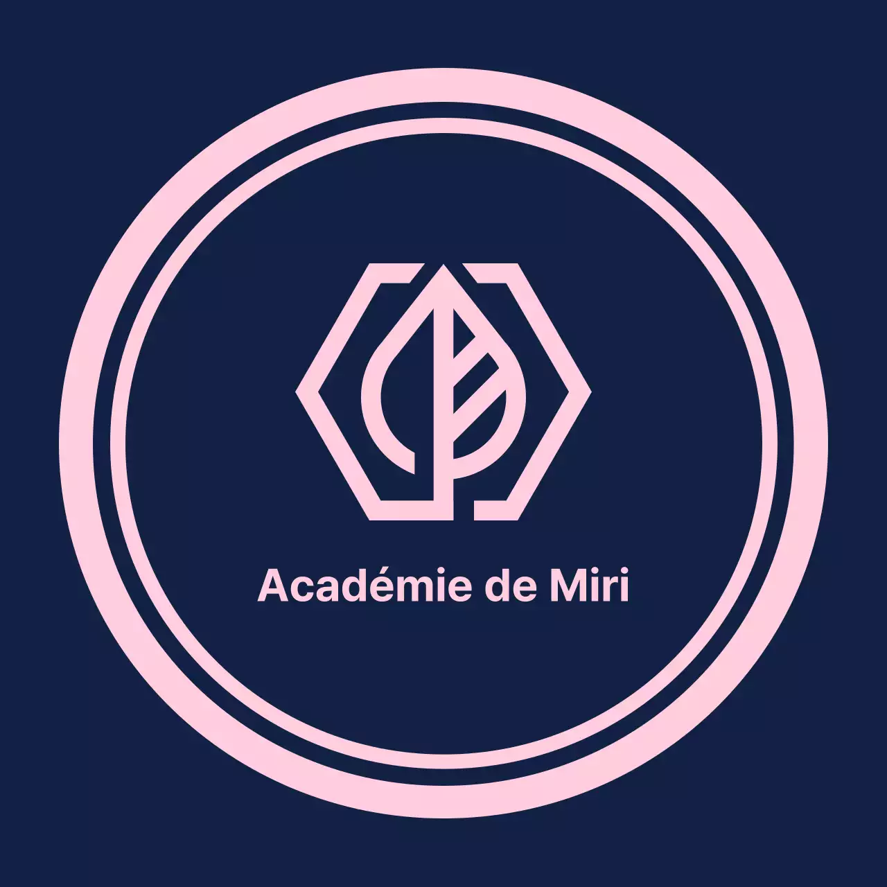 Gakuen Academy Valkyrie sur un fond bleu marine avec une ligne de démarcation rose