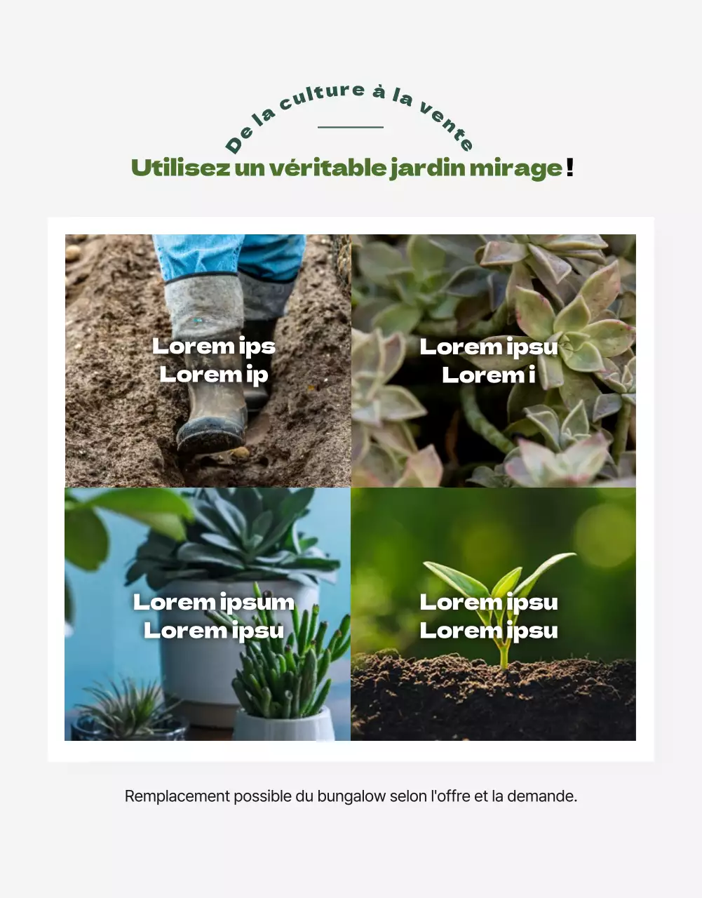 Une boutique spécialisée dans les succulentes vertes et adorables (plus)