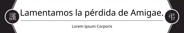 Luto por la muerte de un ser querido
