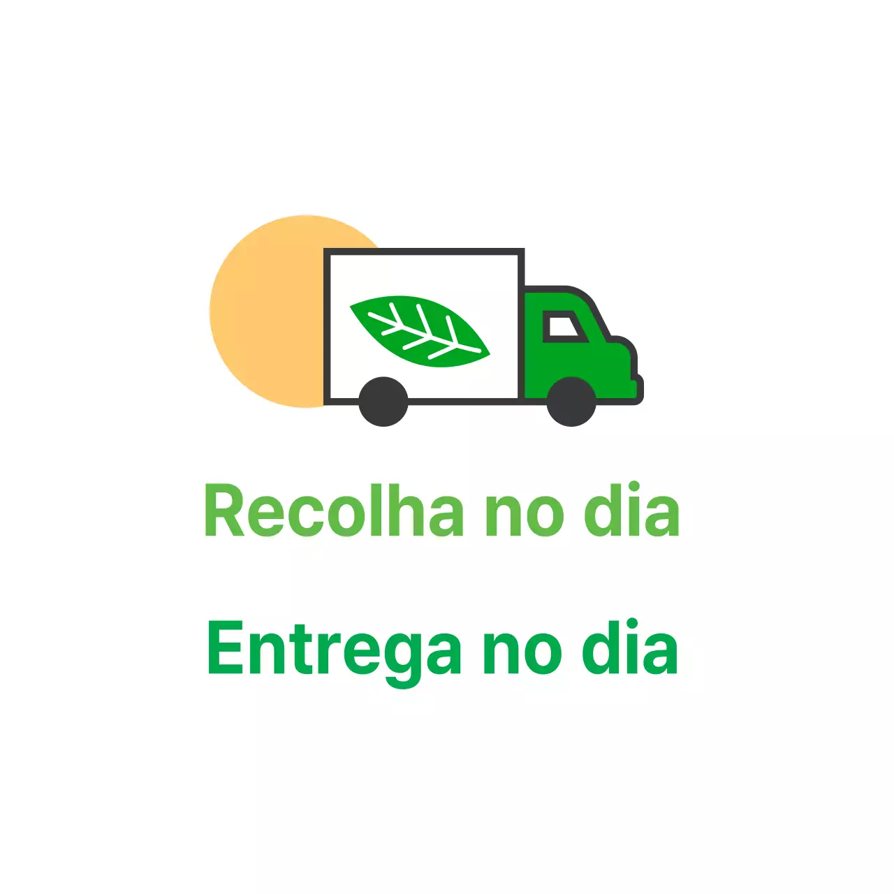 Recolha de produtos no próprio dia
