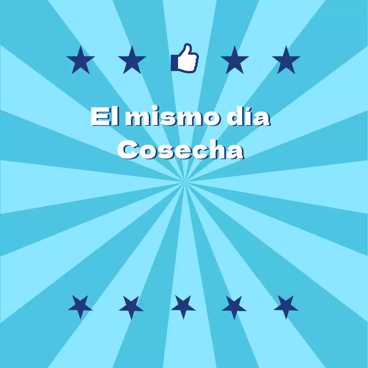 Produce_Cosecha diaria