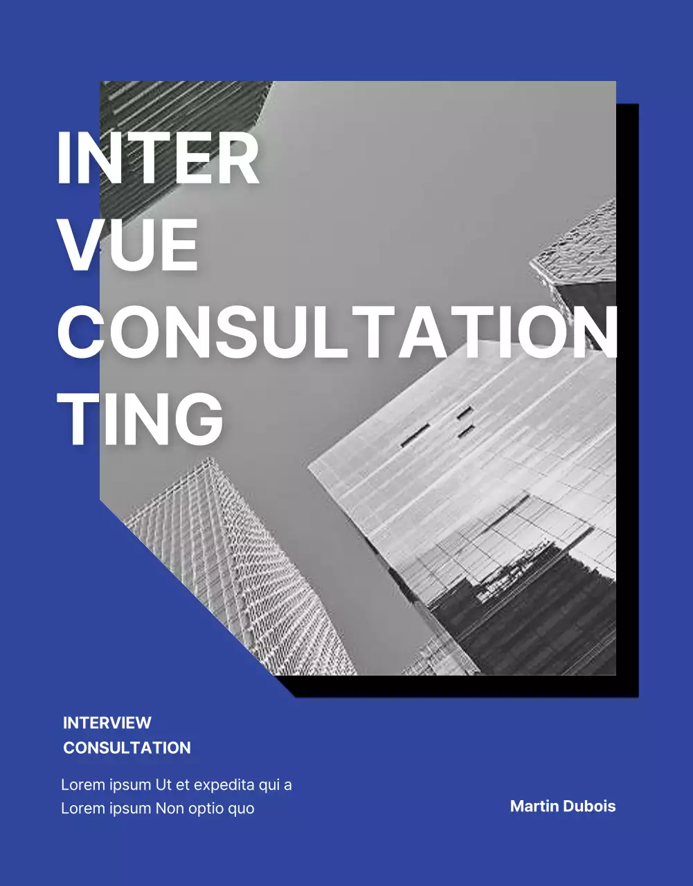 Blue and Monotone Job Interview Consultancy page détaillée
