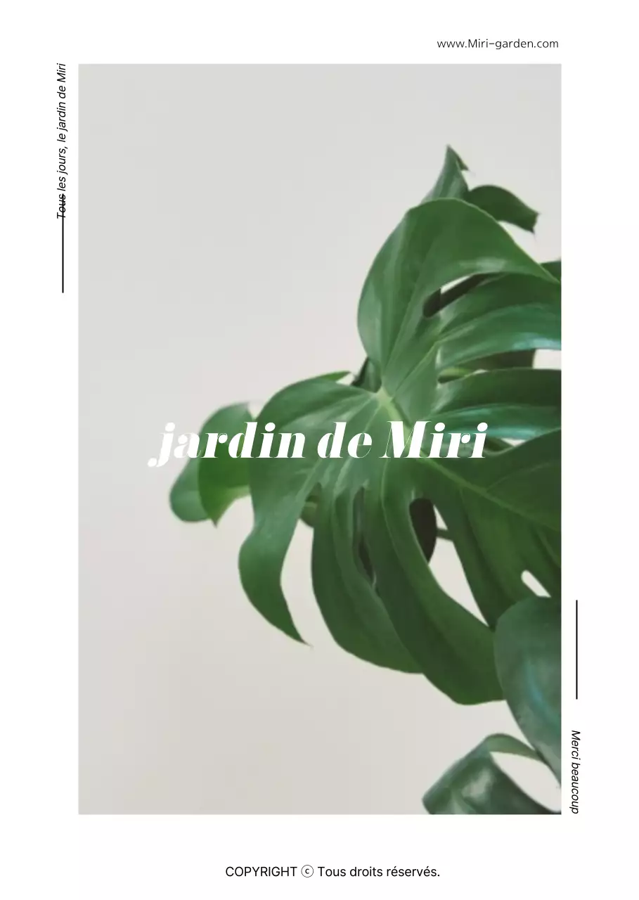 Des intérieurs botaniques pleins d'émotion