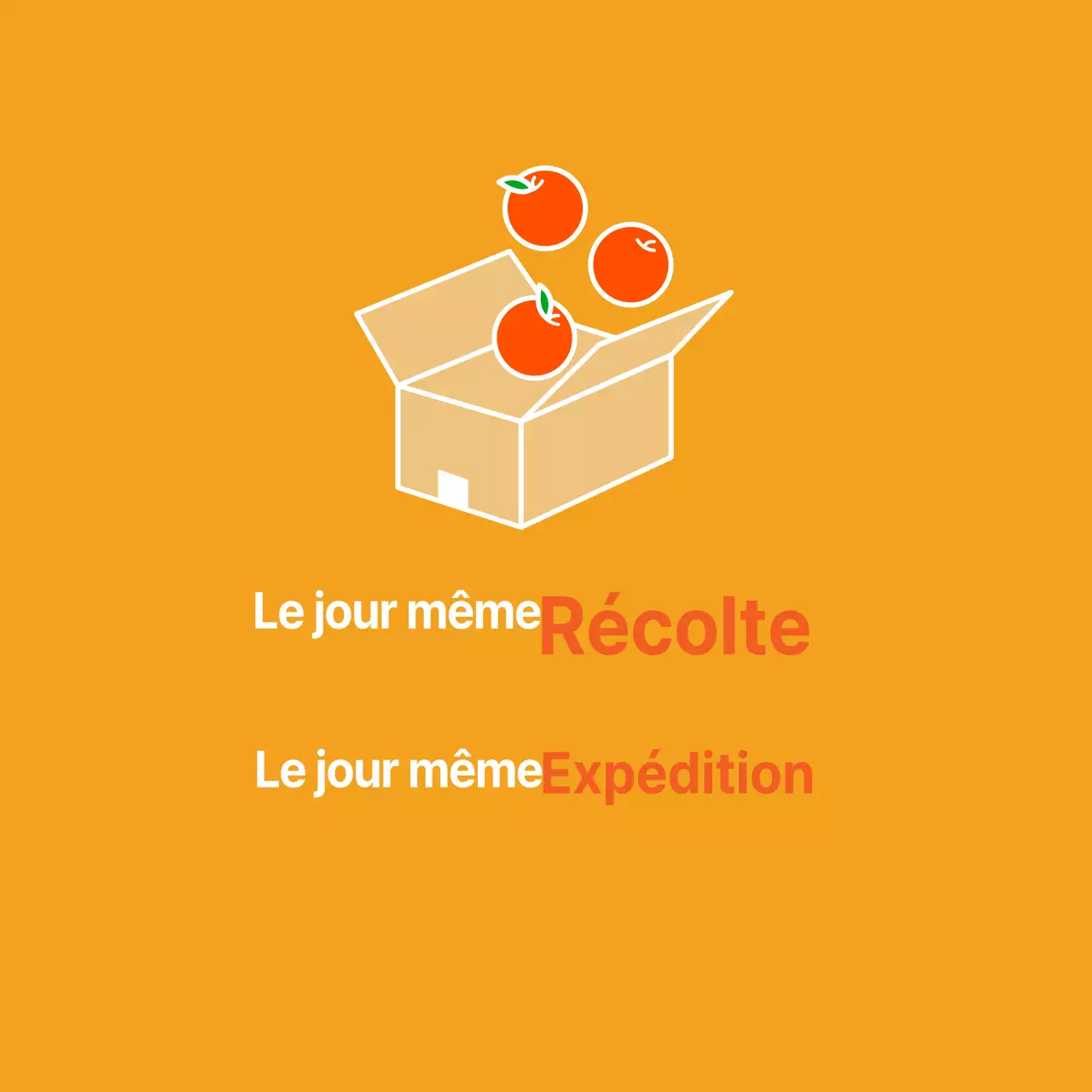 Enlèvement des produits le jour même