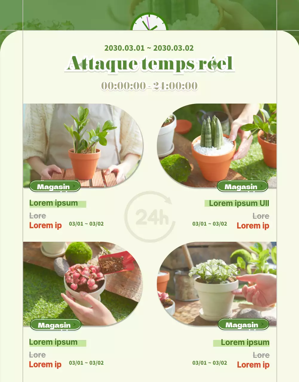 Succulentes vertes et beiges page de détail