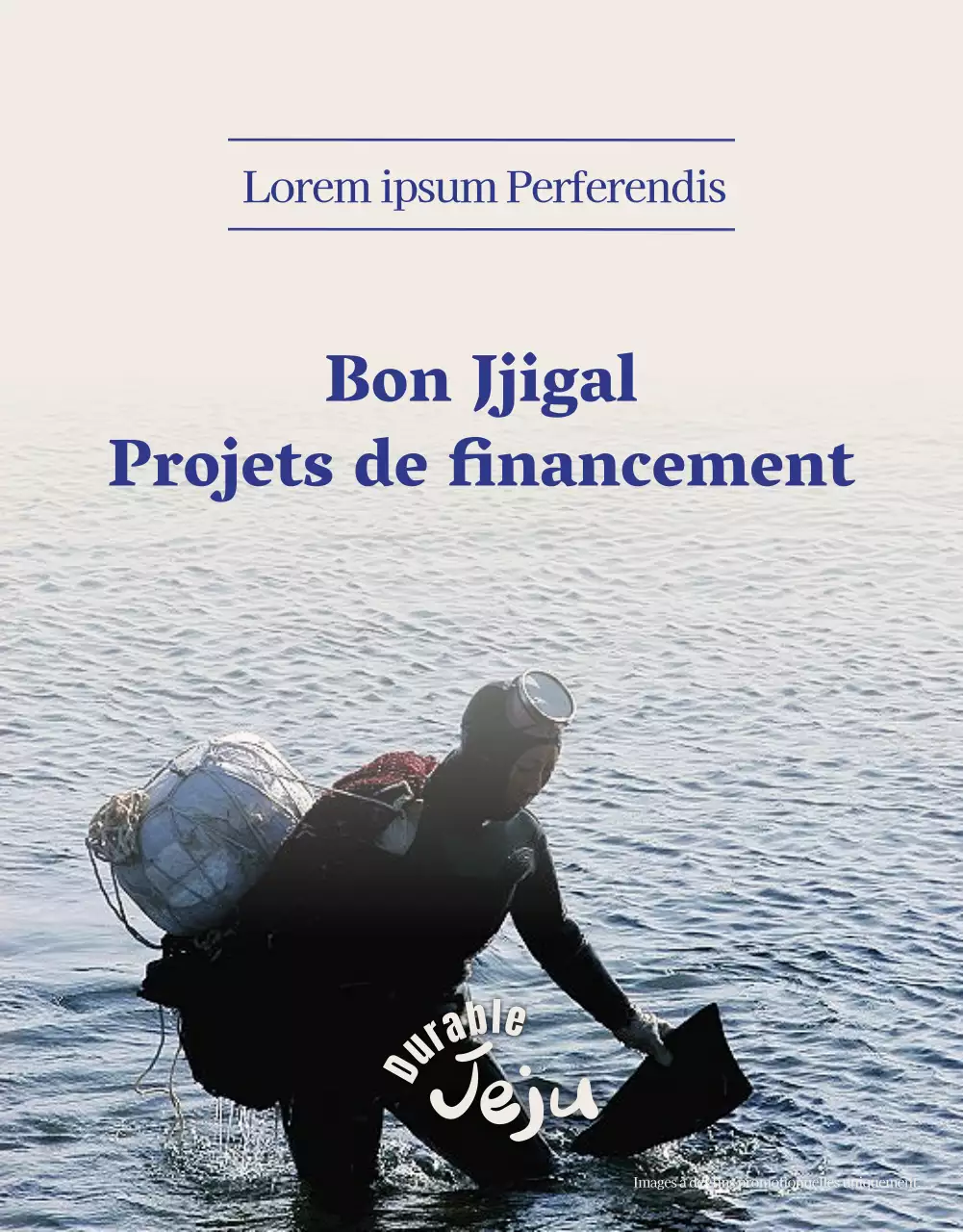Financement discret de baguettes en marine et beige