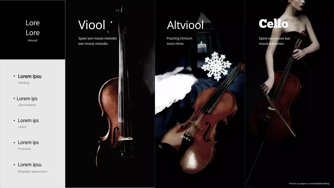 Zwart en grijs performing group portfolio