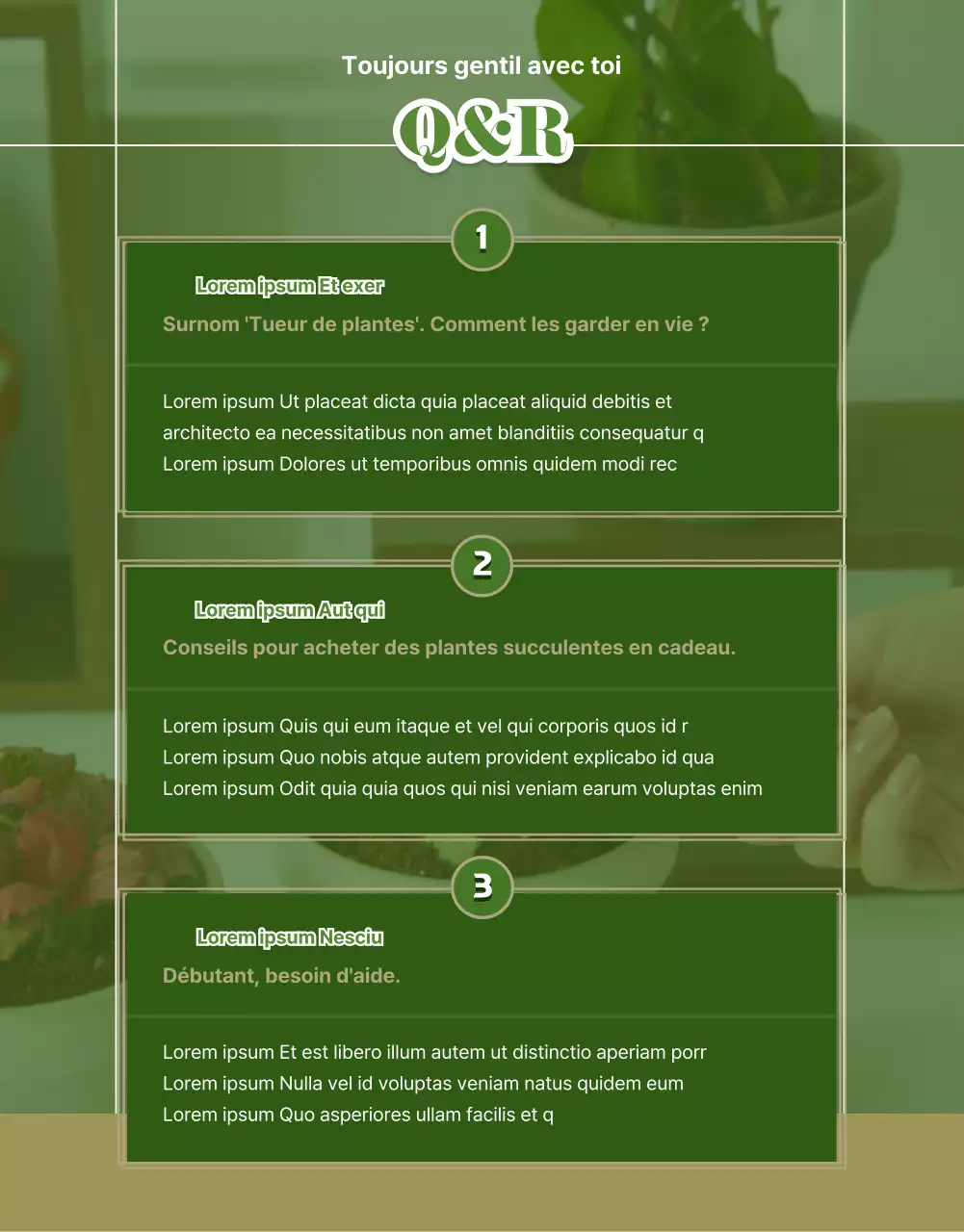 Succulentes vertes et beiges page de détail