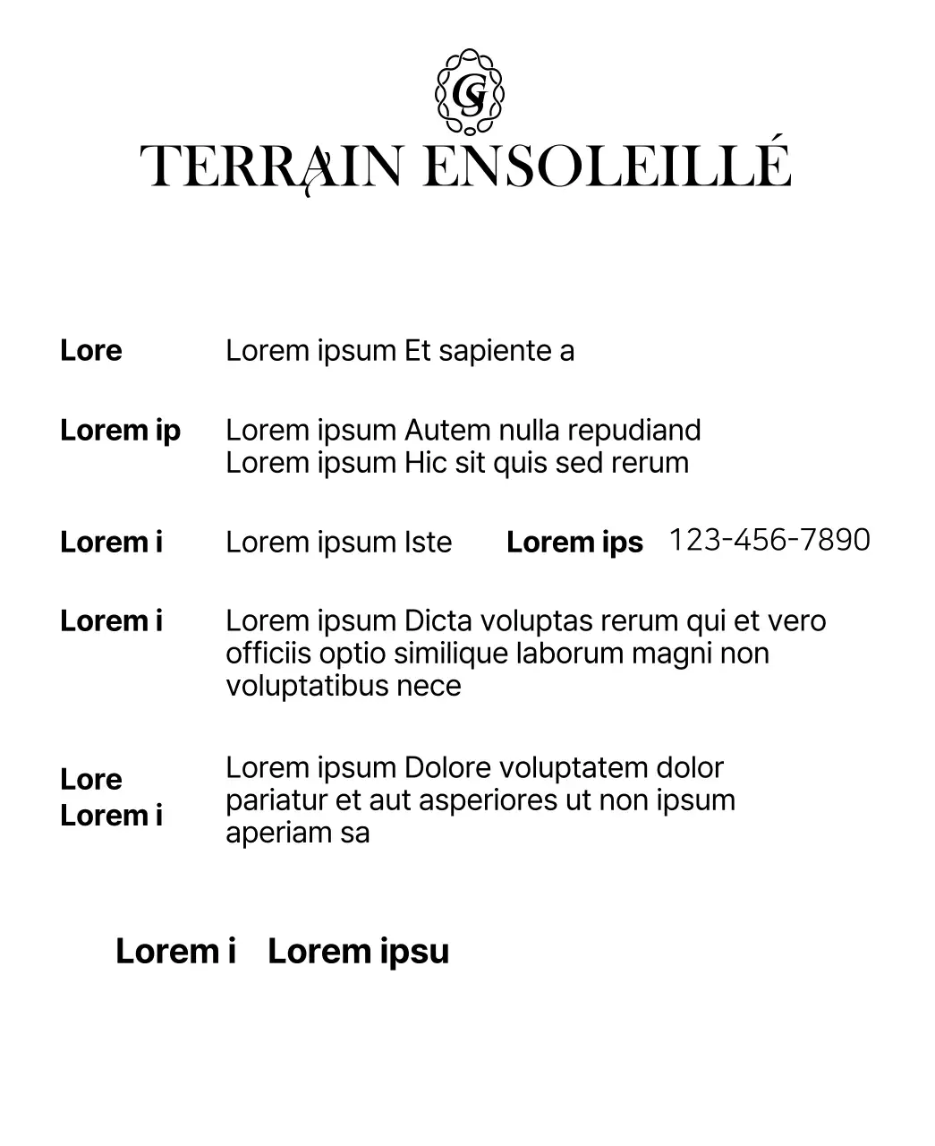 Sachets de thé luxueusement incurvés