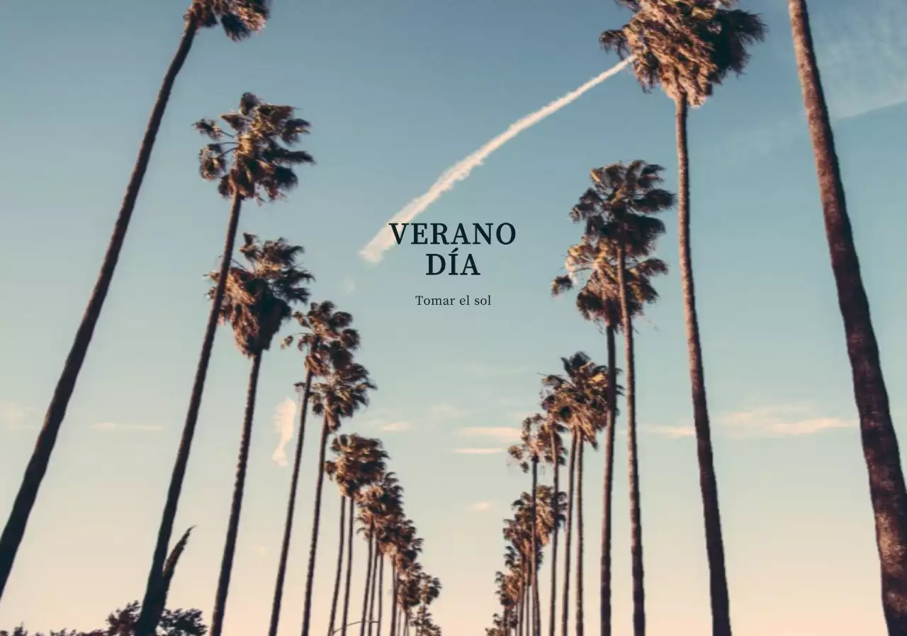 Emocionantes fotos de palmeras de verano