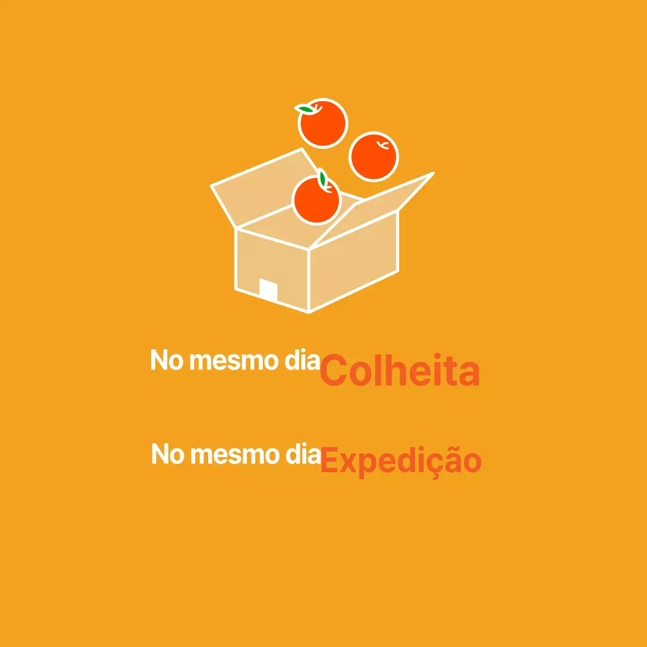 Recolha de produtos no próprio dia