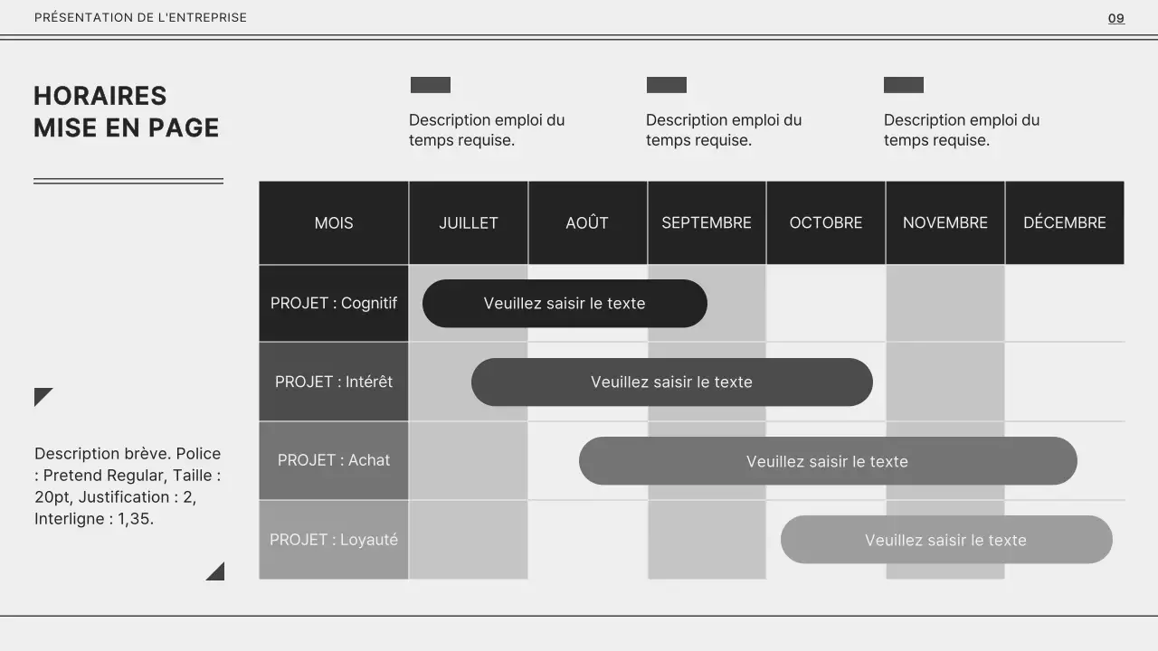Monotone gris et noir pour une présentation d'entreprise simple