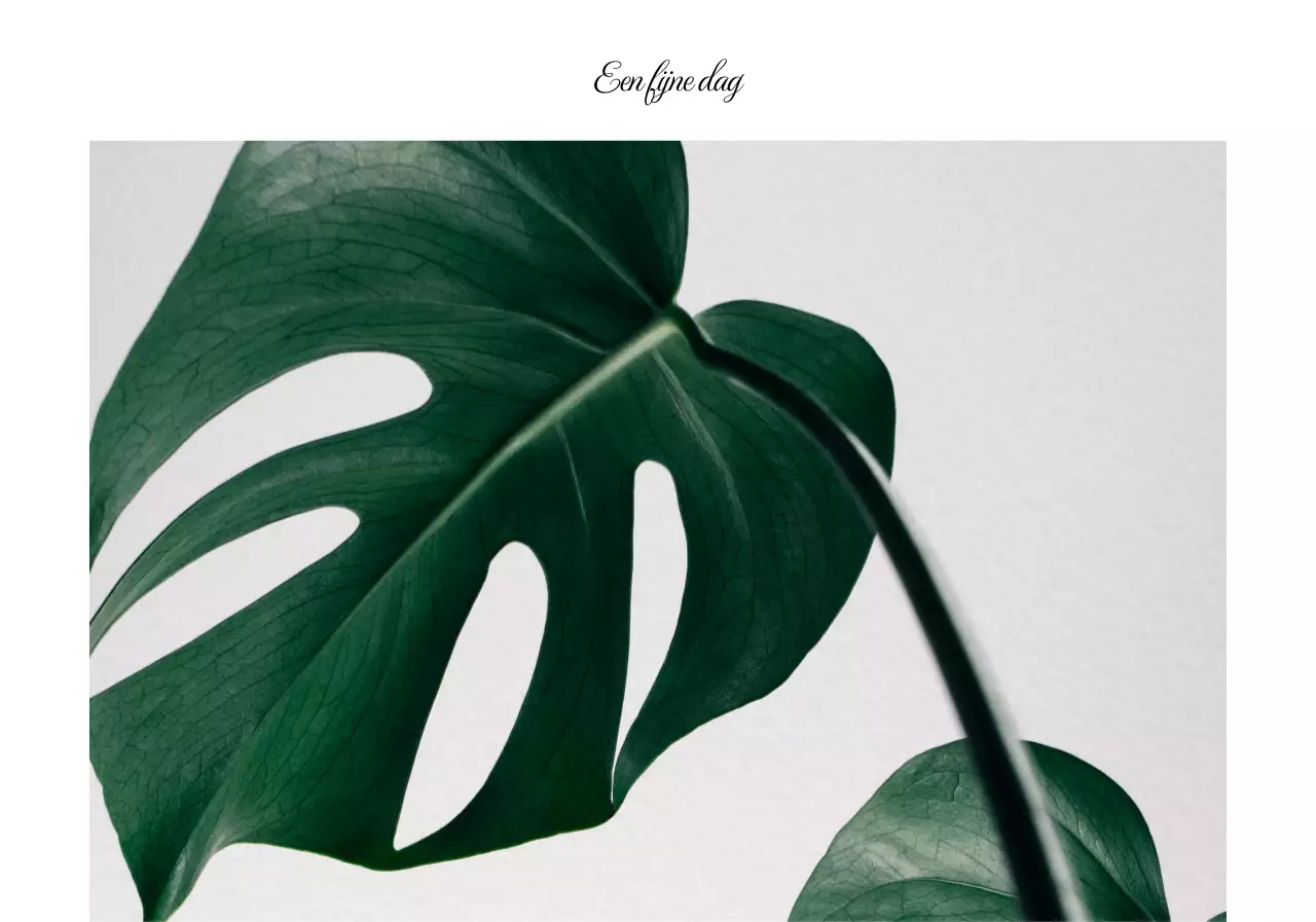 Sentimentele botanische fotografie en kalligrafie