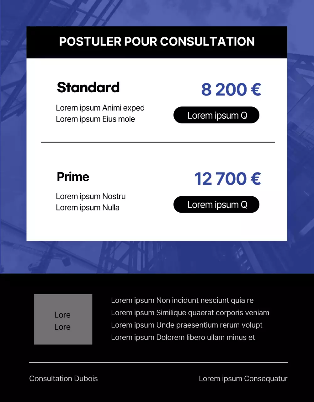 Blue and Monotone Job Interview Consultancy page détaillée