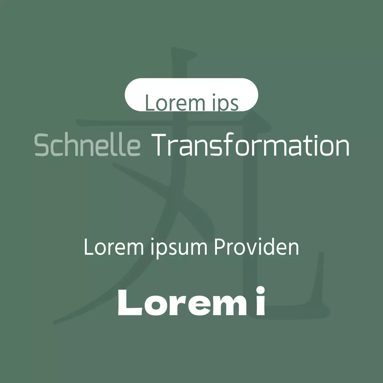 Schnelle Transformation