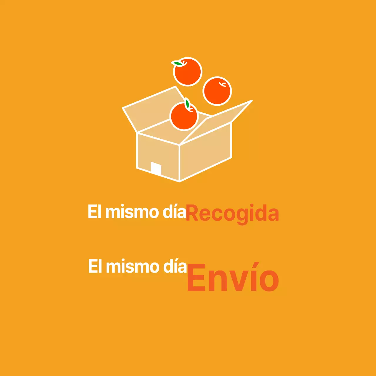 Recogida de productos el mismo día