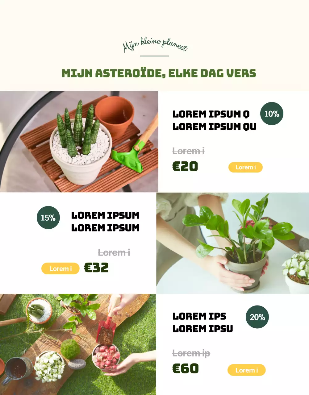 Een winkel gespecialiseerd in groene en schattige vetplanten (meer)