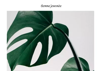 Photographie botanique et calligraphie sentimentale