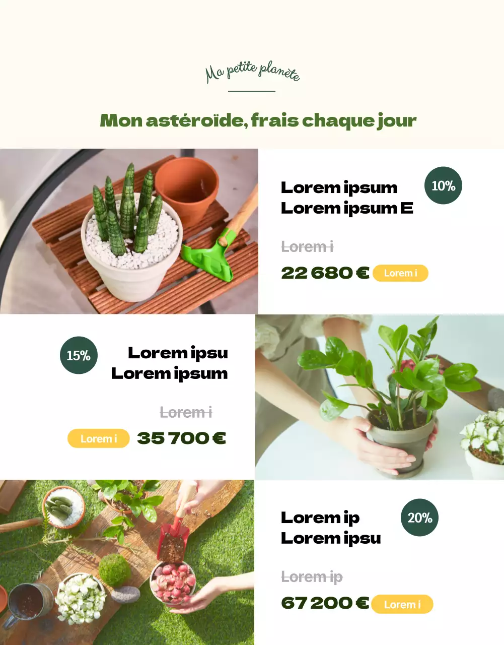 Une boutique spécialisée dans les succulentes vertes et adorables (plus)