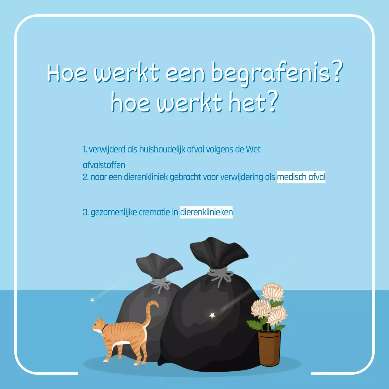 Het verhaal van Petros met schattige blauwe illustraties