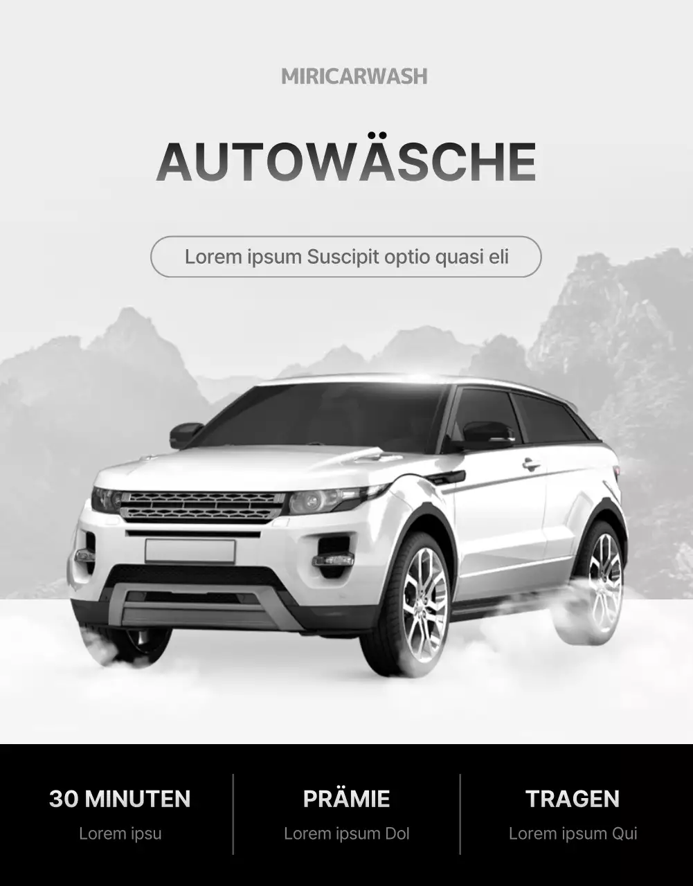 Handwäsche für weiße und schwarze Autos