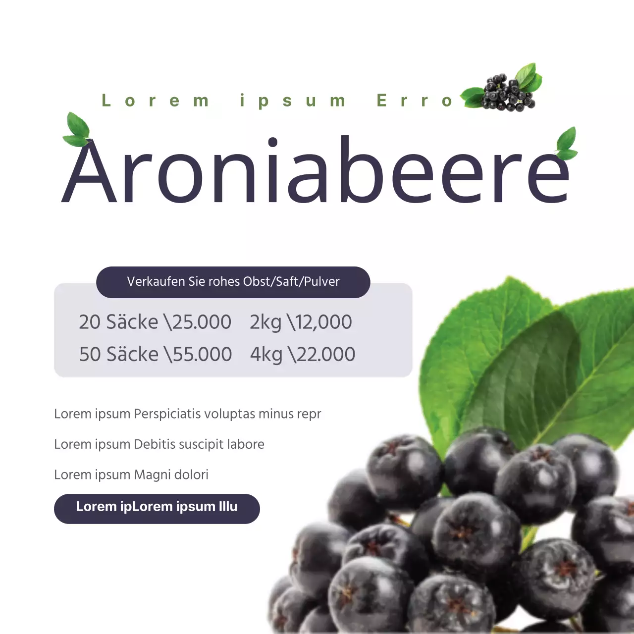 Aronia
