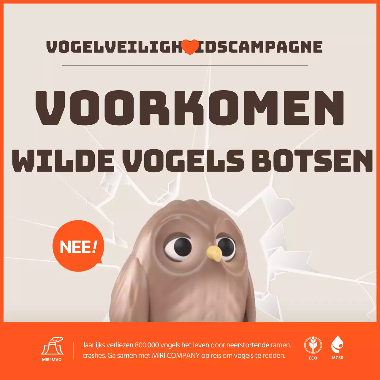 Een strakke anti-vogelaanrijdingscampagne met oranje accenten