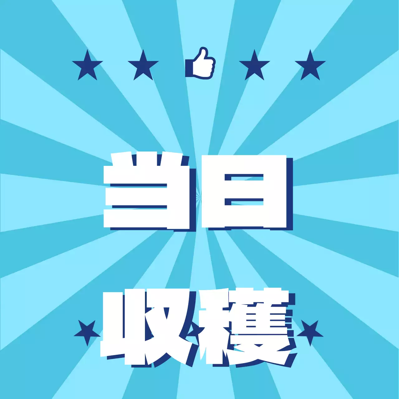 農産物_当日収穫