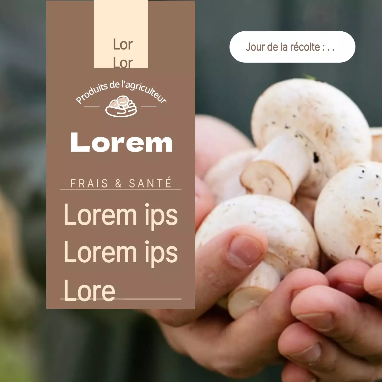 Livraison directe de champignons