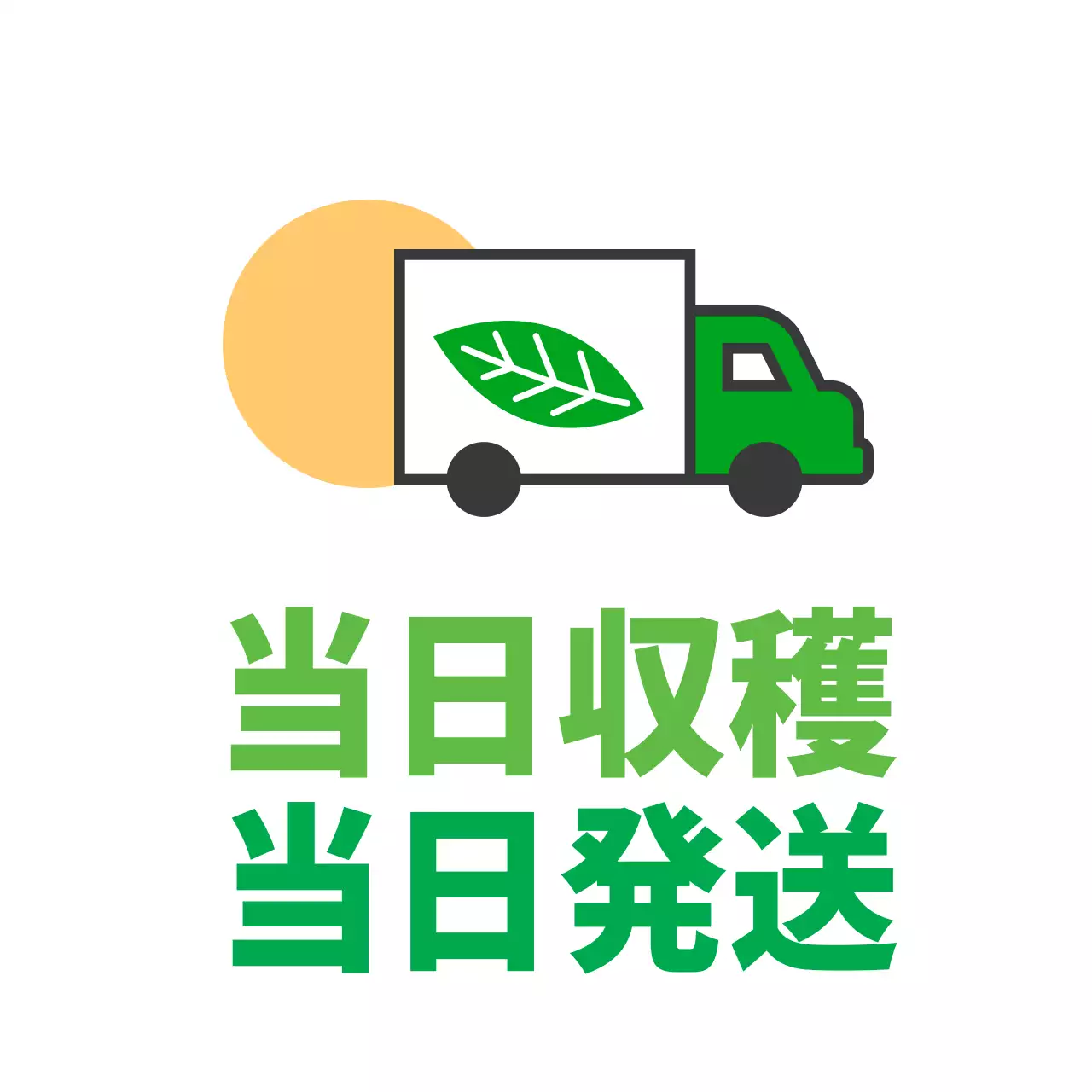 農産物_当日配送