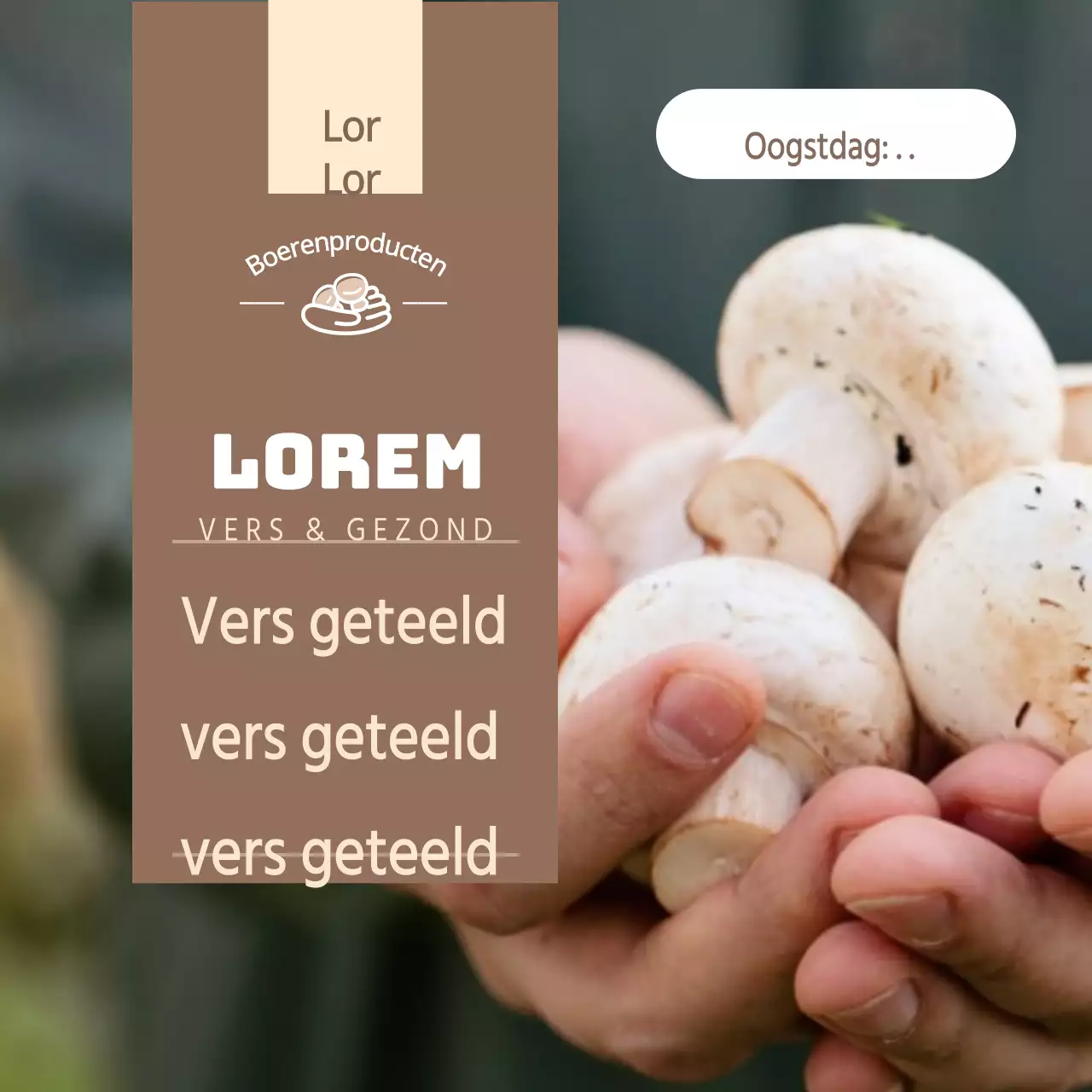 Directe levering van champignons