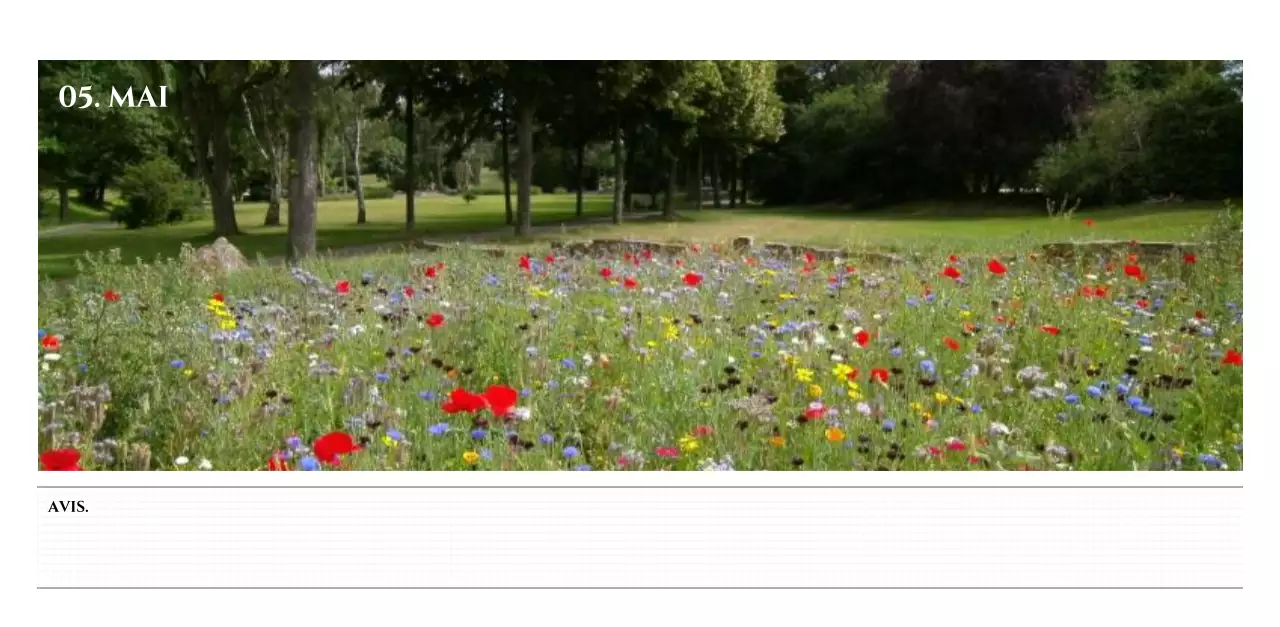 Calendrier mural de style simple avec concept de photographie de voyage émotionnelle en noir et blanc
